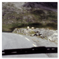 Norwegen 1991