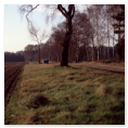 Lüneburger Heide 1990