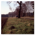 Lüneburger Heide 1990